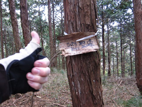 20190214hike (345)